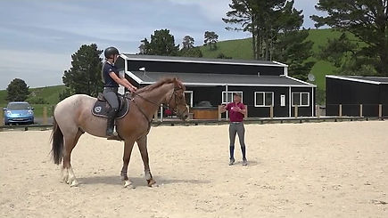 Как активировать задние ноги лошади